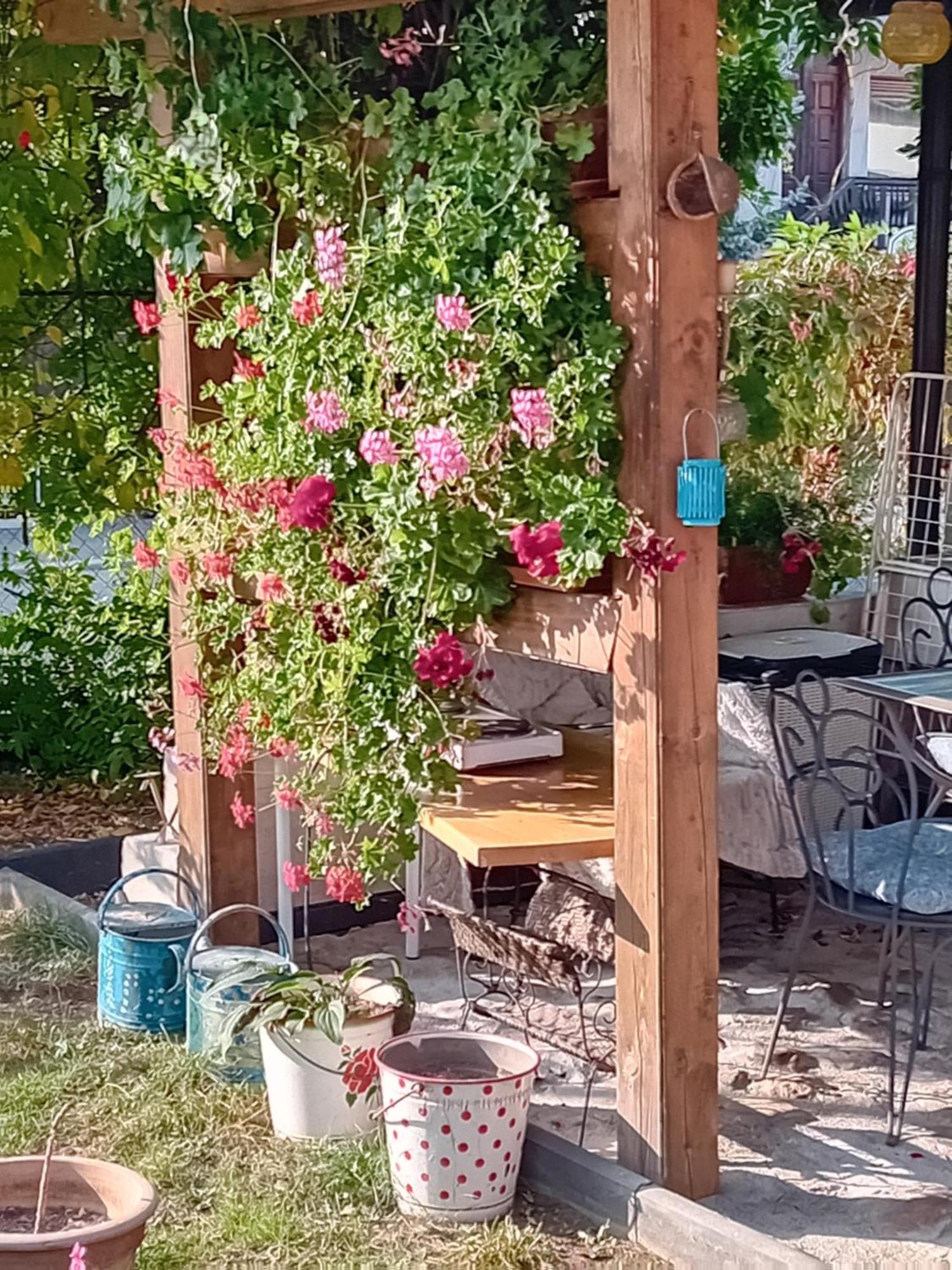 Rose Room 40M2 With Terrace 25M2 In Greeny Area For 4 Person Ljubljana Luaran gambar