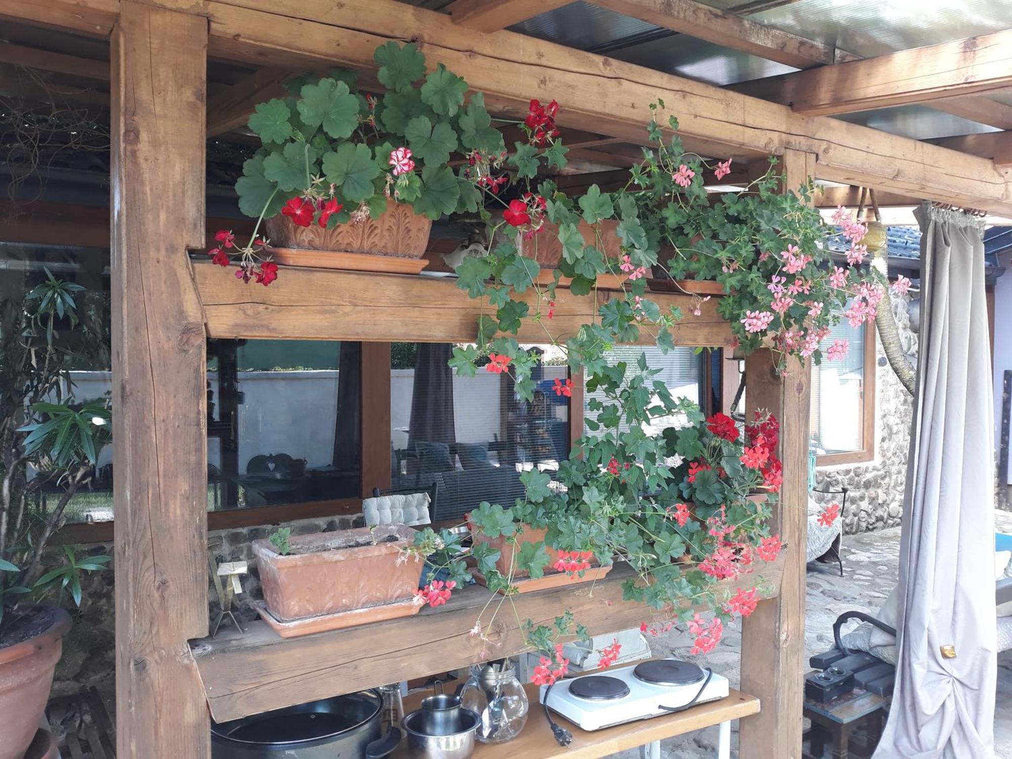 Rose Room 40M2 With Terrace 25M2 In Greeny Area For 4 Person Ljubljana Luaran gambar