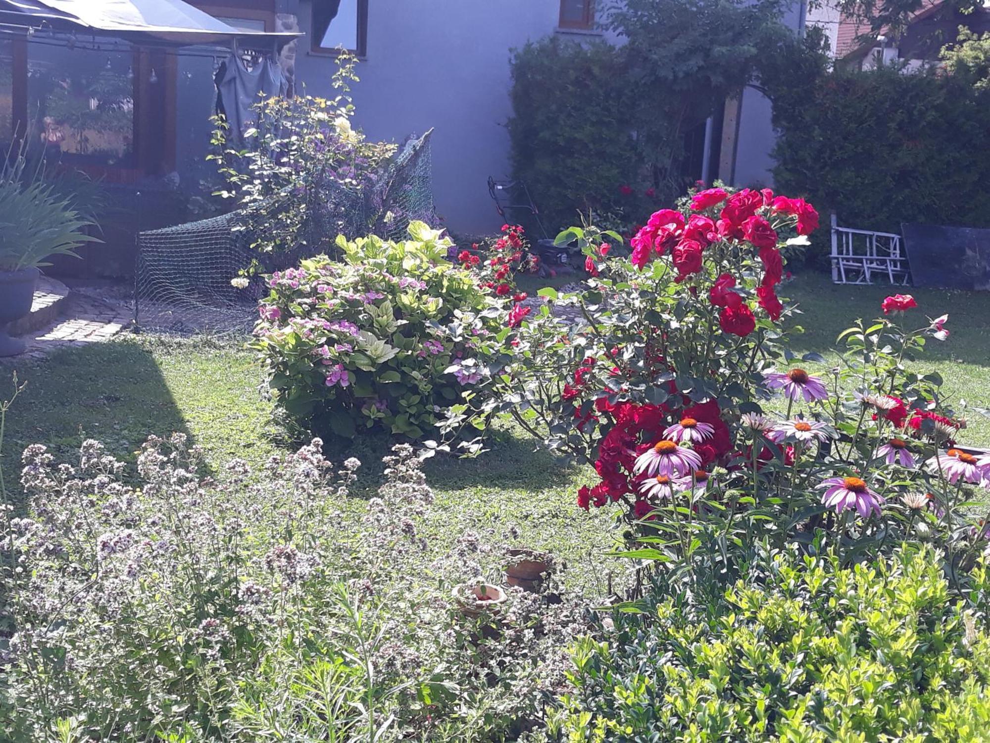 Rose Room 40M2 With Terrace 25M2 In Greeny Area For 4 Person Ljubljana Luaran gambar